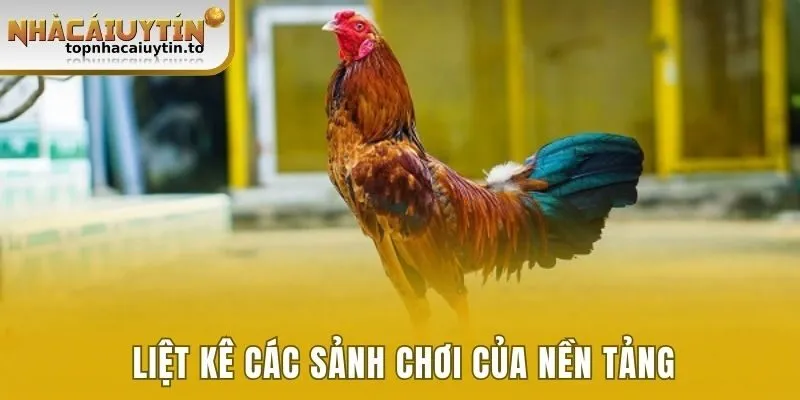 Ga6789 - Top 1 Nhà Cái Uy Tín Hàng Đầu Tại Việt Nam